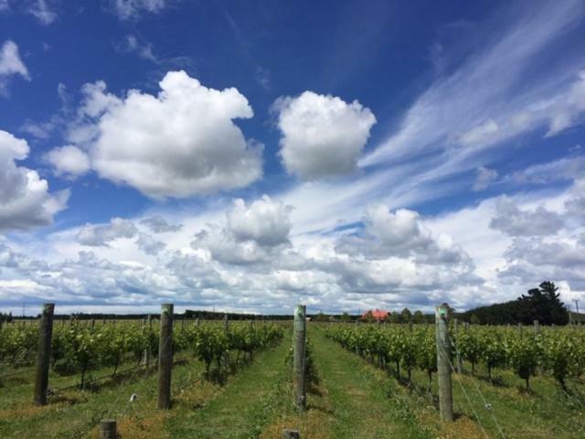 Romantic Vineyard Getaway Hotel Waipara Exterior photo