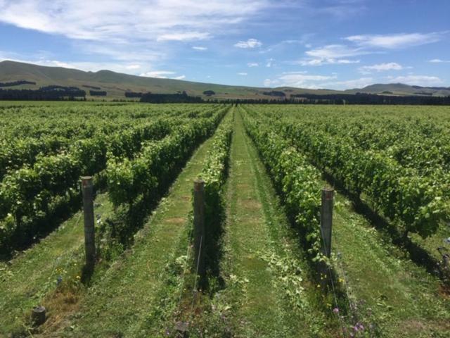 Romantic Vineyard Getaway Hotel Waipara Exterior photo